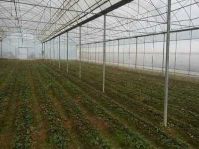 萊蕪市萊城區(qū)蔚霖節(jié)水灌溉產(chǎn)品經(jīng)營部